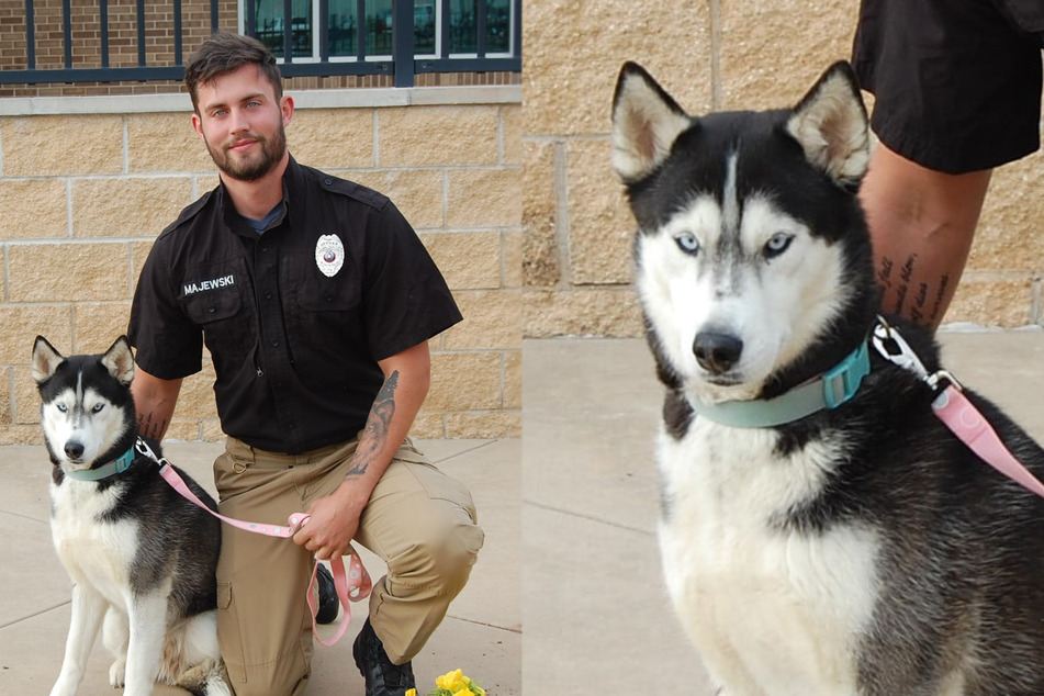 Shelter advertises dog but gets hundreds of calls for her hunky handler instead!
