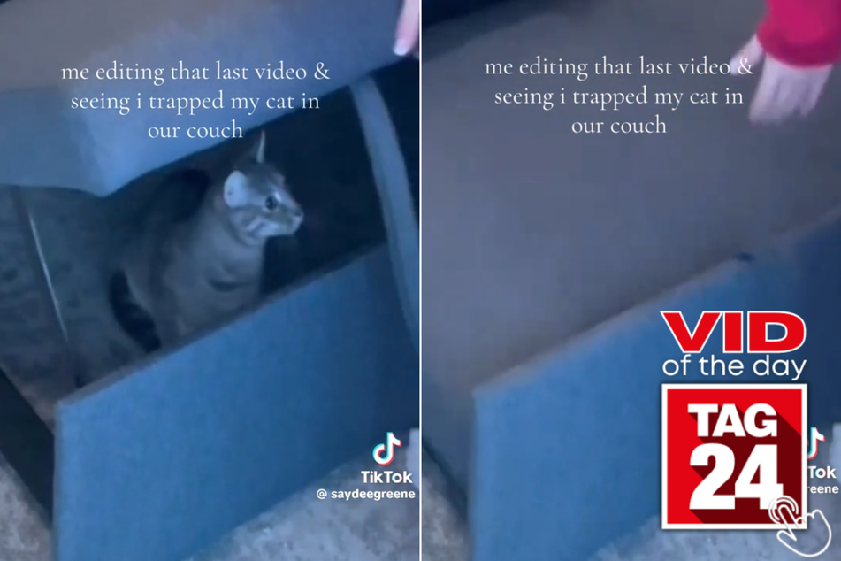 Viral Video of the Day for January 9, 2026: Cat trapped under couch in hilarious mishap