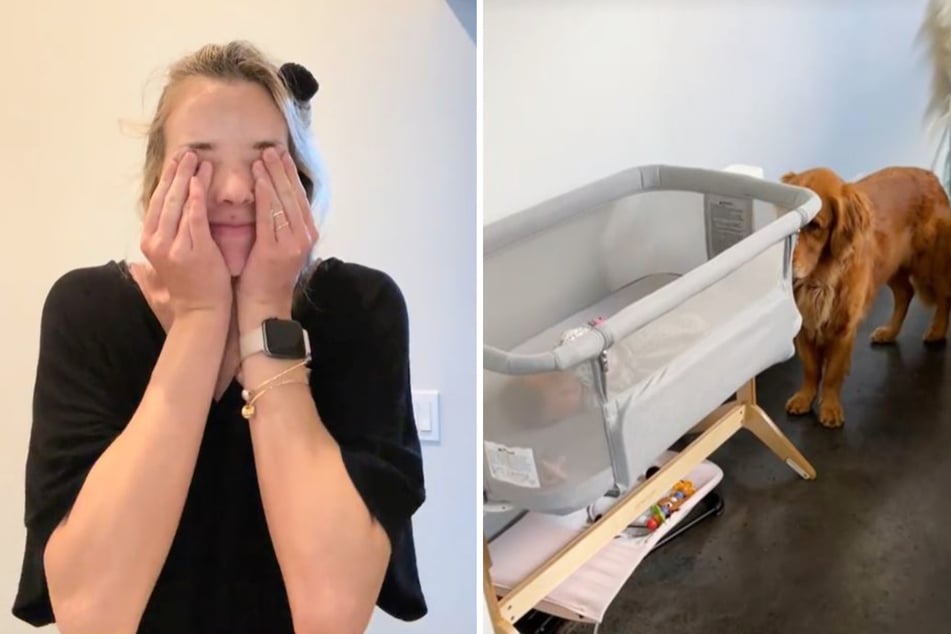 Dog has heartbreaking yet hilarious response to new non-fur baby