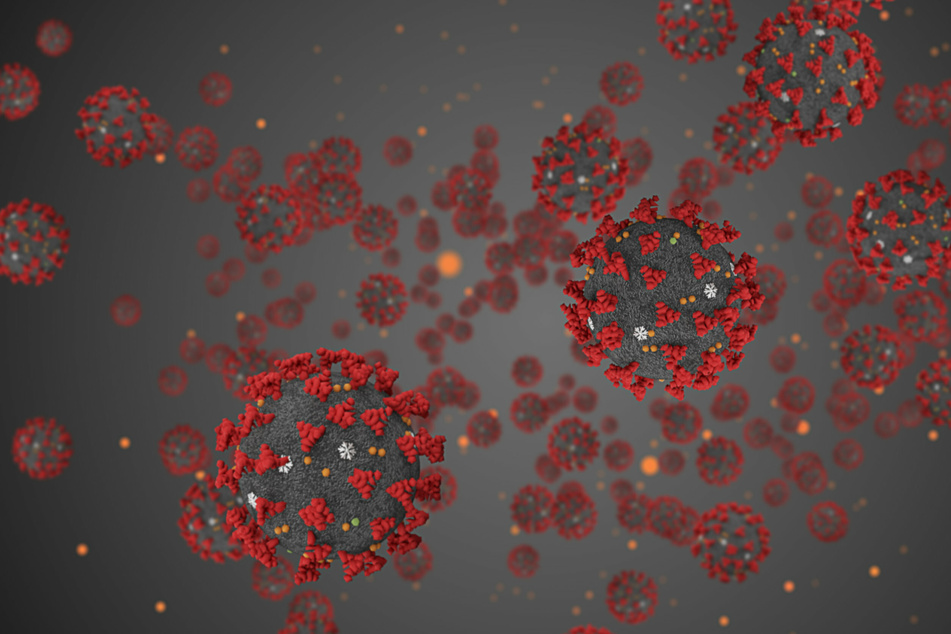 Omicron study delivers some potential good news on severity of Covid