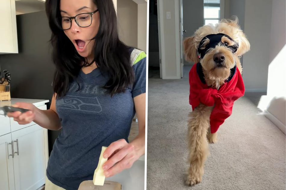 Luca the goldendoodle is ready to save the day!