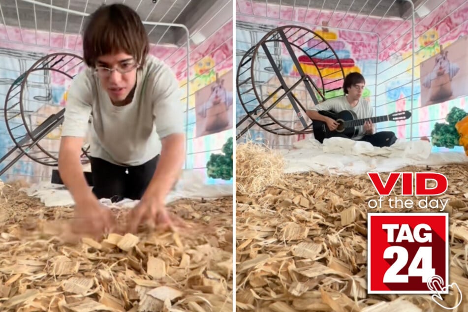 Today's Viral Video of the Day showcases a man living in a remarkably huge human-sized hamster cage!
