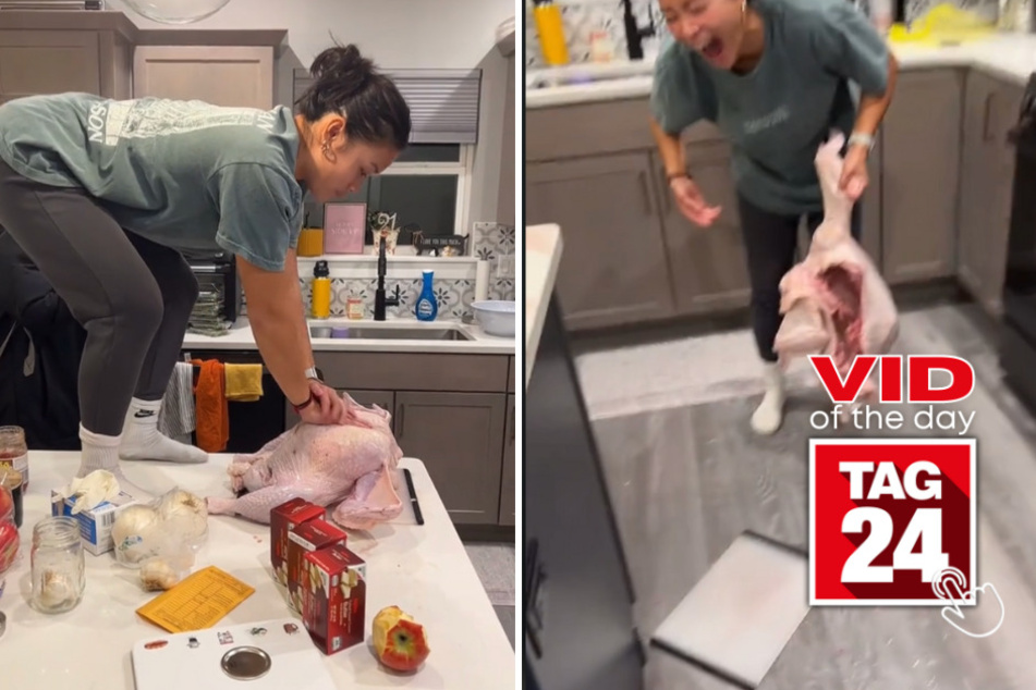 Viral Video of the Day for November 23, 2023: Thanksgiving turkey gets CPR in hilarious TikTok video!