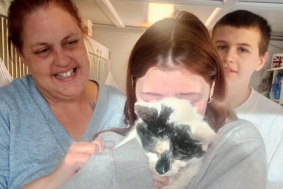 The family had given up hope on finding their lost cat after six years.