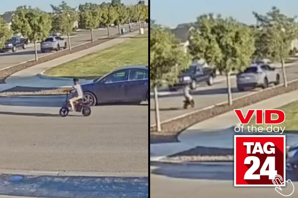 The neighbors wanted to know who hit their car - and the security camera exposed the tiny culprit immediately!