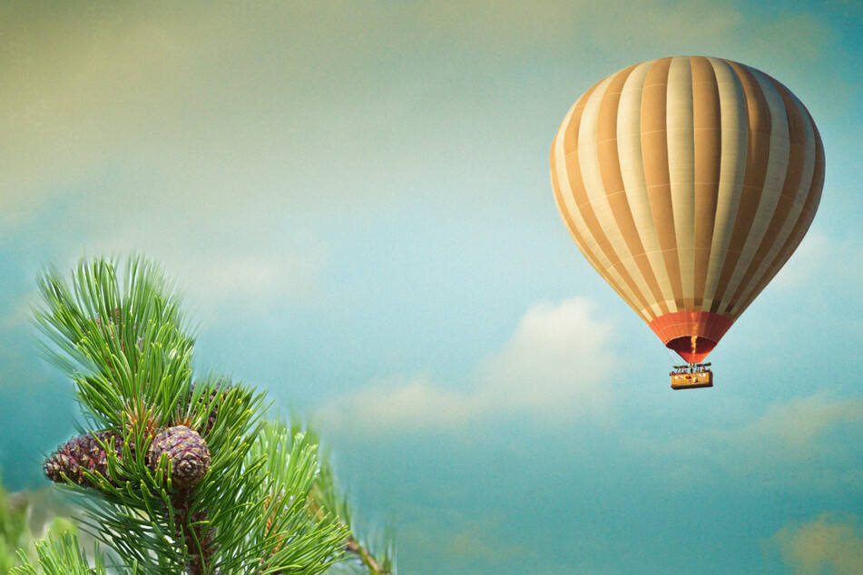 Pine nut picker gets stuck in a balloon for days in wild rescue