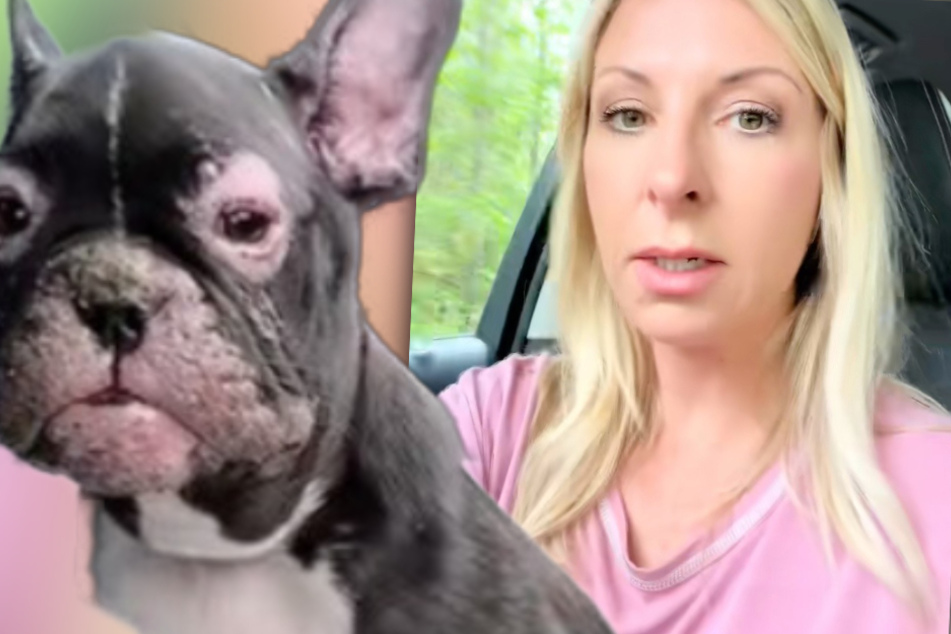 Crystal Floyd was driving when she spotted a puppy dog on the side of the road.
