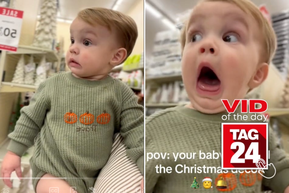 Viral Video of the Day for November 19, 2024: Toddler's magical reaction to Christmas wonderland shop goes viral!