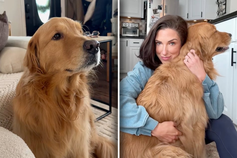 Dog owner presents dramatic pup's biggest overreactions: "It's best if no one leave his side ever"