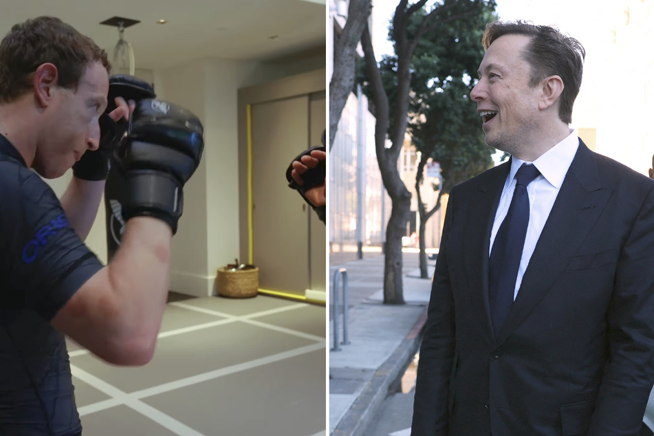 Are Elon Musk and Mark Zuckerberg about to face off in a cage fight?
