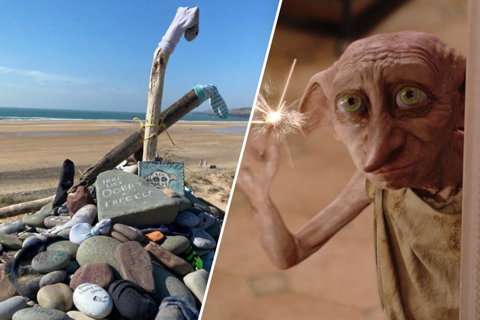 Harry Potter fans save Dobby's grave by thwarting $580 million electricity project!