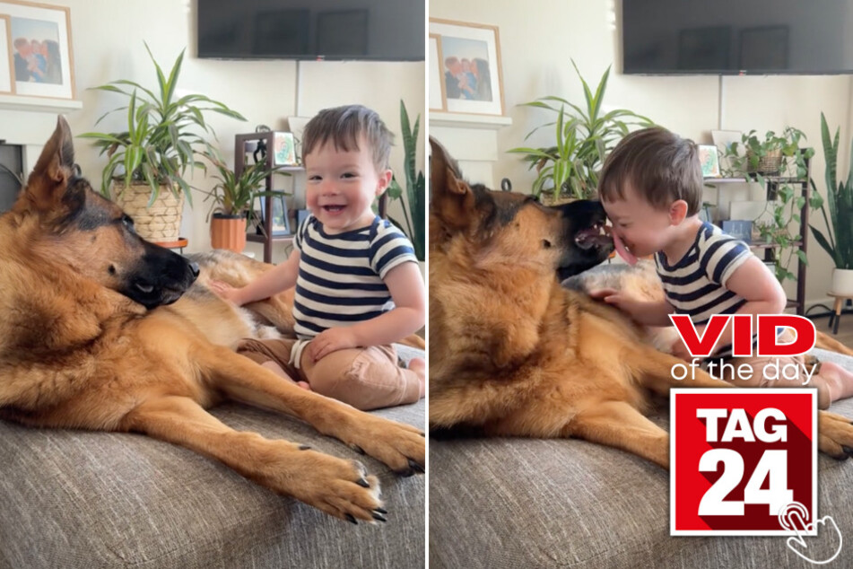 Today's Viral Video of the Day features a little boy playing with his friendly German Shepard dog named Otto.