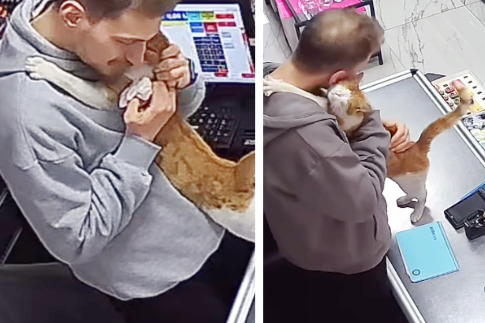 Since then, the cat seems to thank the owner each day with a hug!