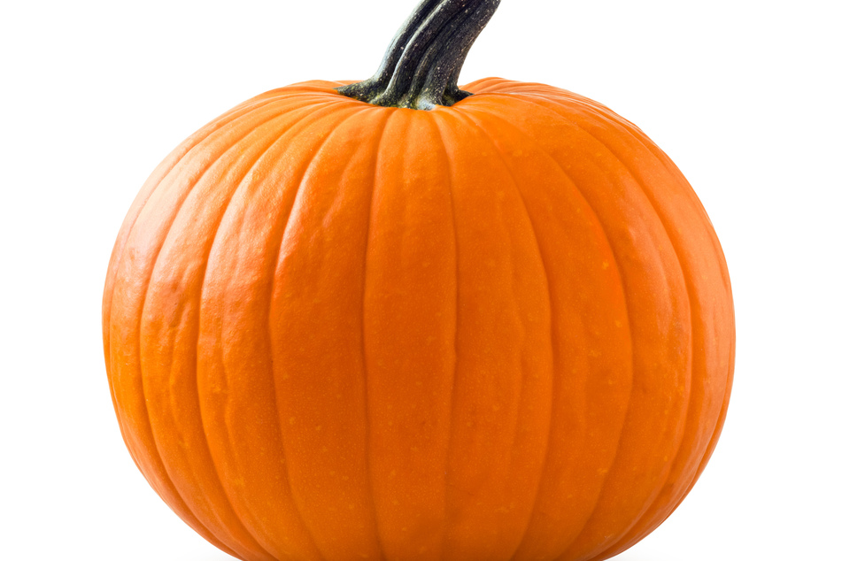 Giant pumpkin weighs in at over a ton and squashes competition