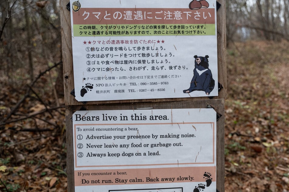 Japan is dealing with a record number of deadly bear attacks, with at least 10 people killed just this year.