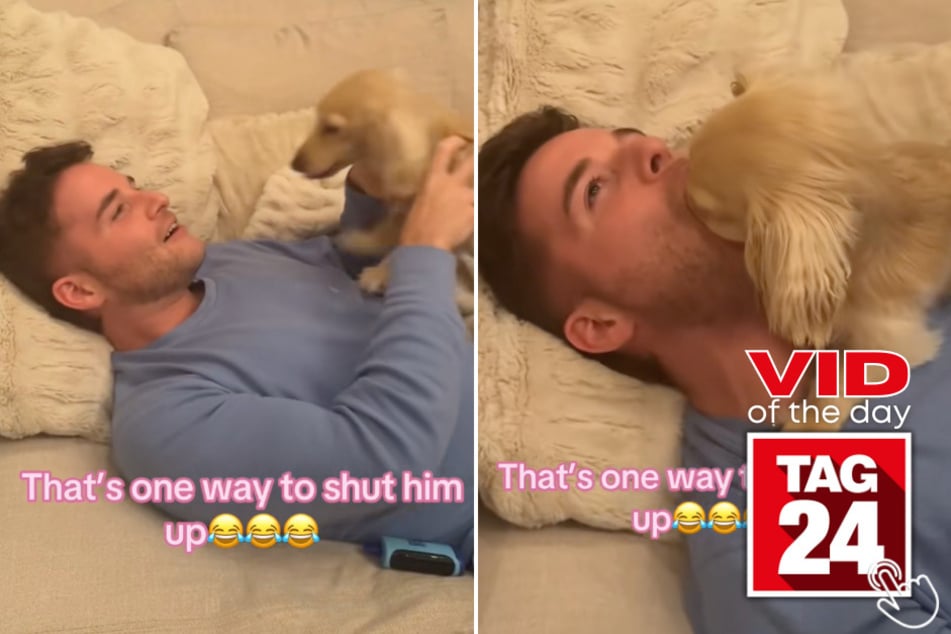 This dachshund has a hilarious way of shutting his owners up!