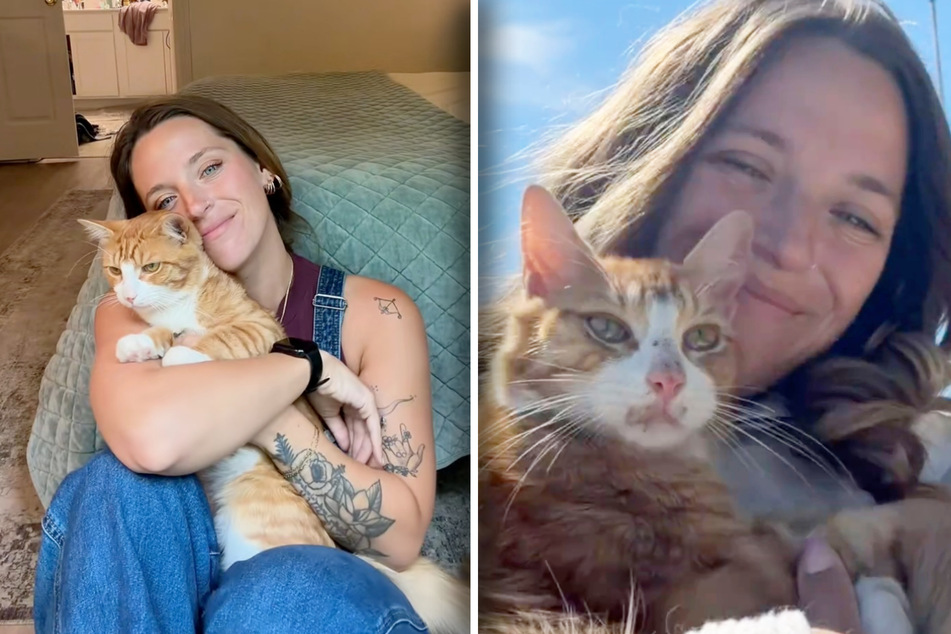 Stray cat begs woman to adopt her – then comes the scary part