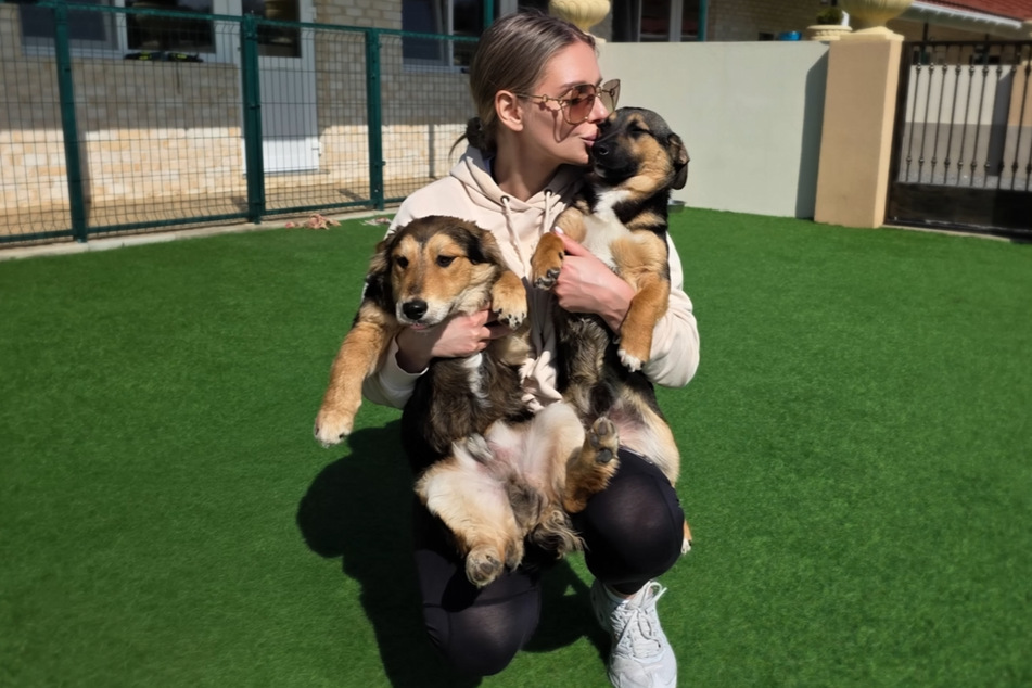 Matros and Albatros are getting all the care they need at the shelter.