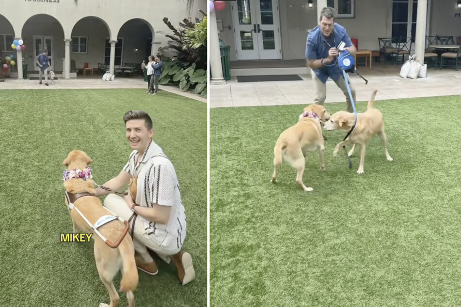Maples and his brother Mikey met again for the first time in five years – and recognized each other immediately!