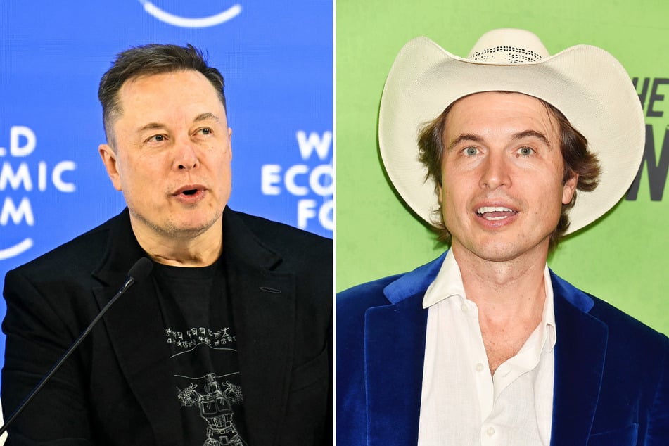 DOJ files reveal Epstein played matchmaker for Elon Musk's brother