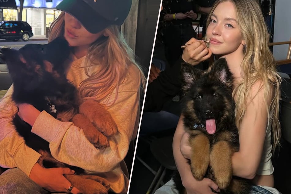 Actor Sydney Sweeney presents her adorable new German Shepherd puppy to fans!