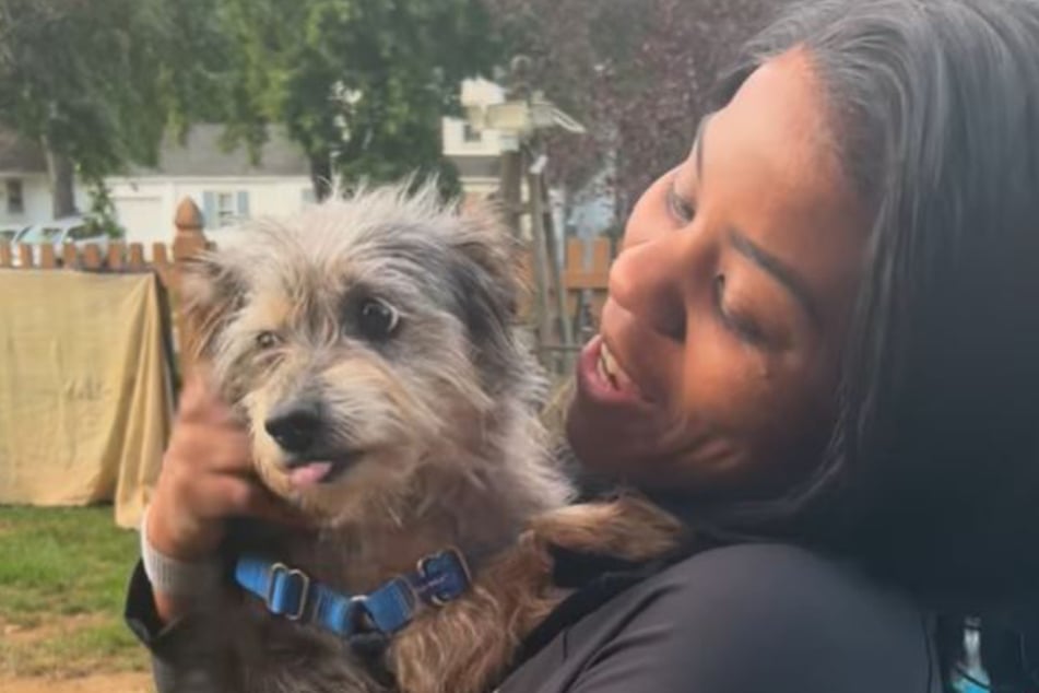 Paris and his owner are thrilled to be back together after five long years.