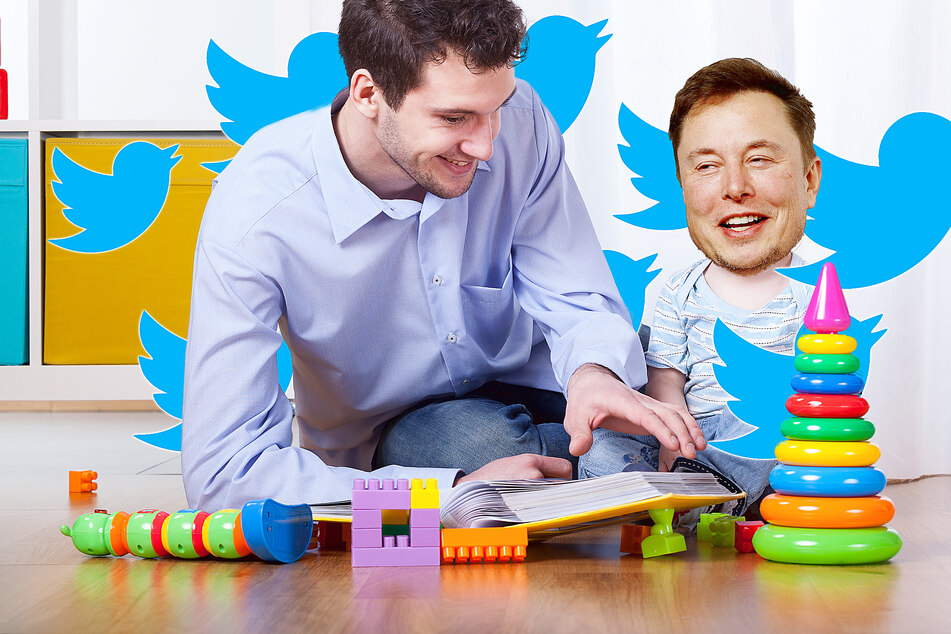 Elon Musk's Twitter sitter could soon end up checking more of his online musings