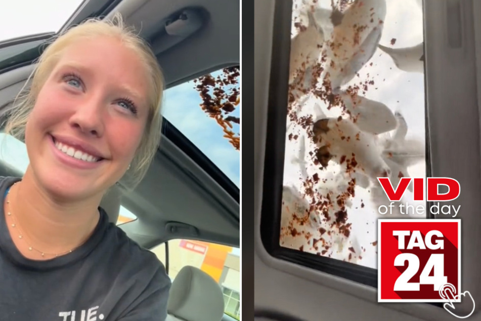Today's Viral Video of the Day features a pair of girls with an ingenious idea of attracting seagulls!