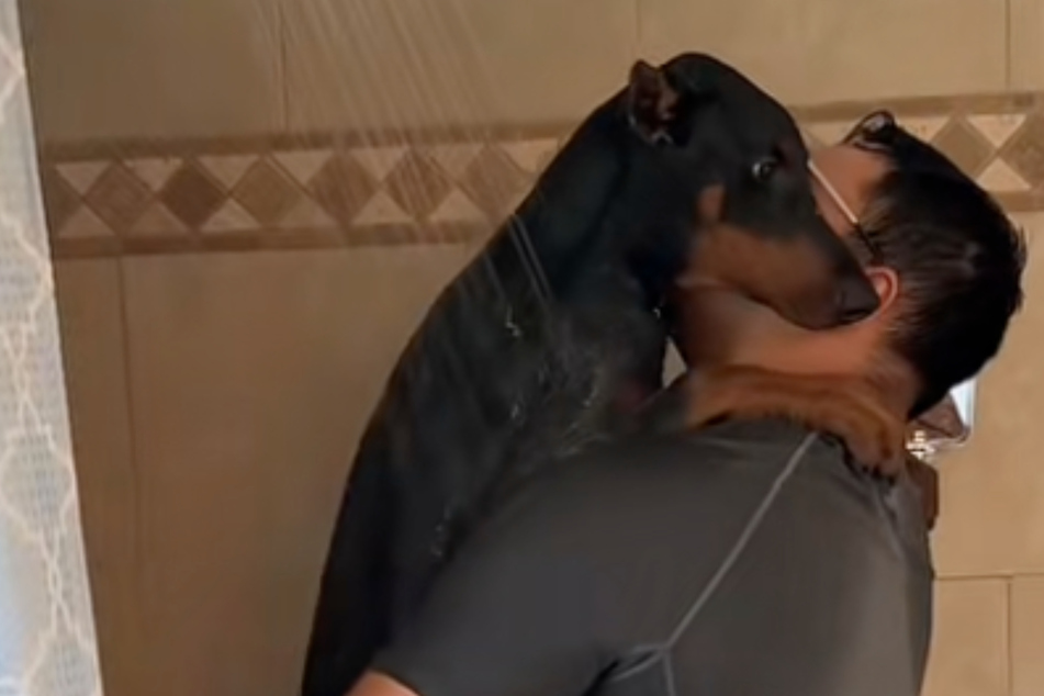 Muddy dog is scared of washing up, so his owner gets creative: "Dog dad of the year!"
