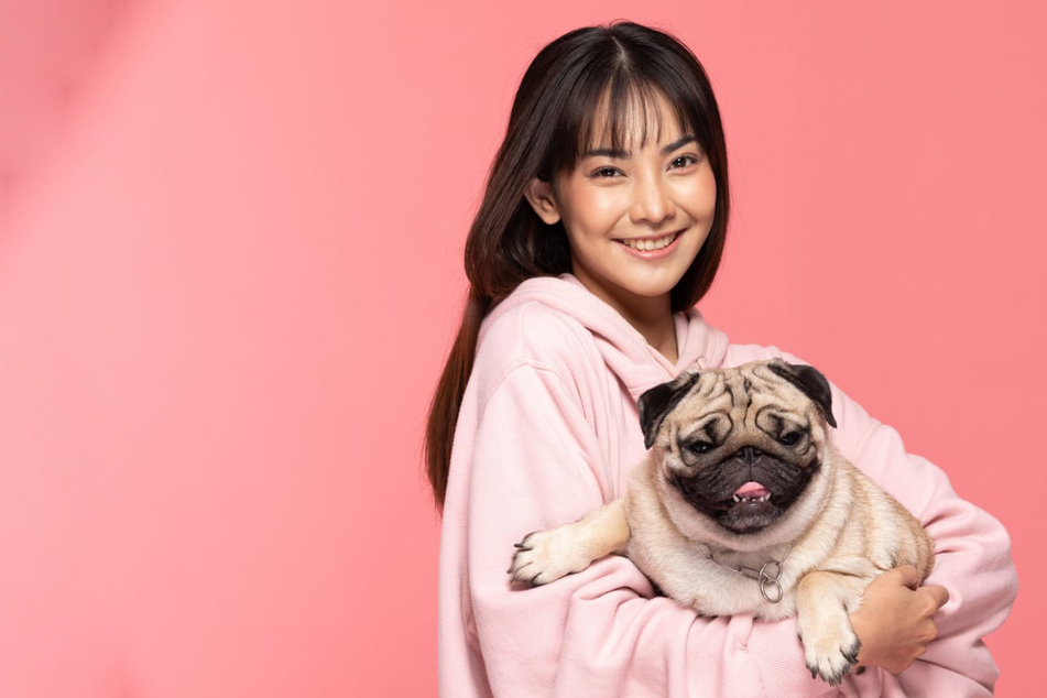 Best dog names ever: How to name your doggo!
