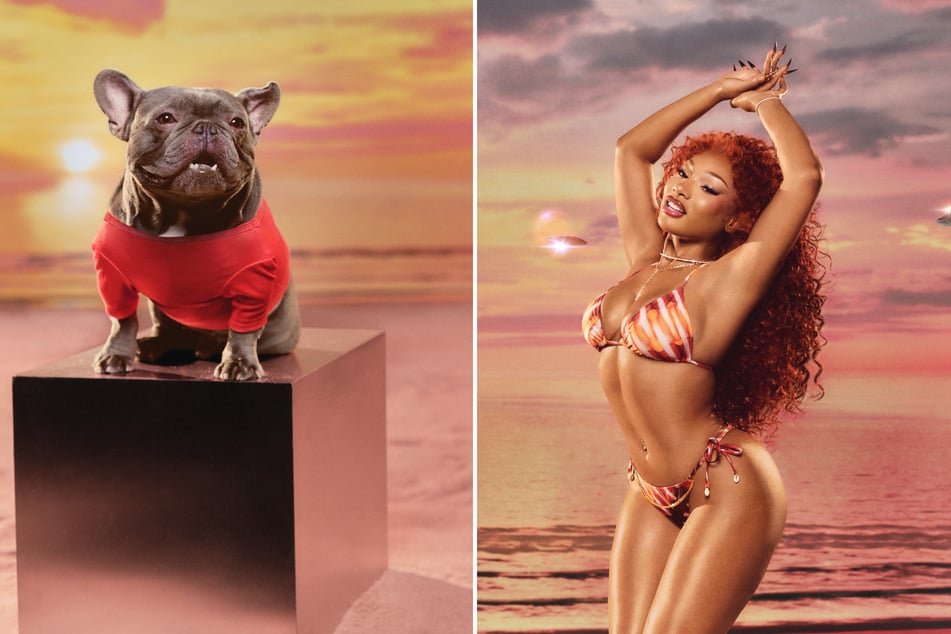 Megan Thee Stallion releases Hottie swimsuits for girls, men – and dogs!