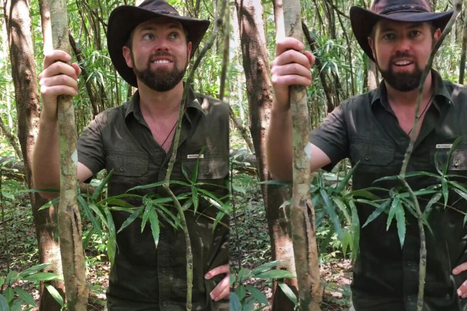 TikTok biologist challenges viewers to find the hidden animal in this video