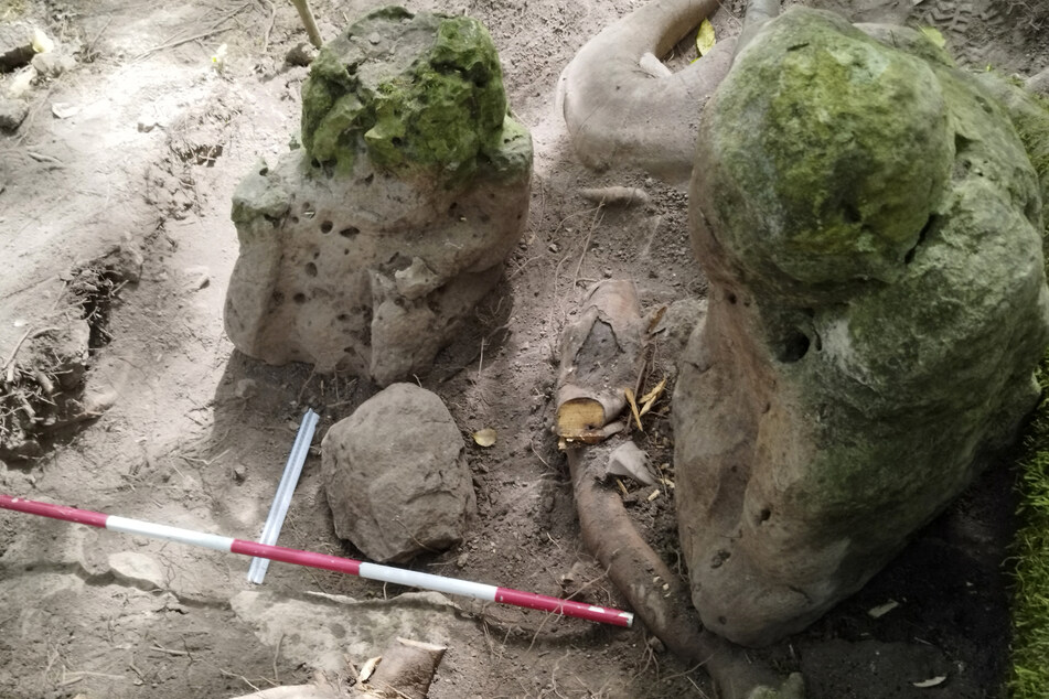 A picture released by the Guatemalan Ministry of Culture and Sports shows two anthropomorphic sculptures of human form or appearance that "represent an ancestral couple," discovered at the Uaxactun archeological site in the Maya Biosphere, Peten department.