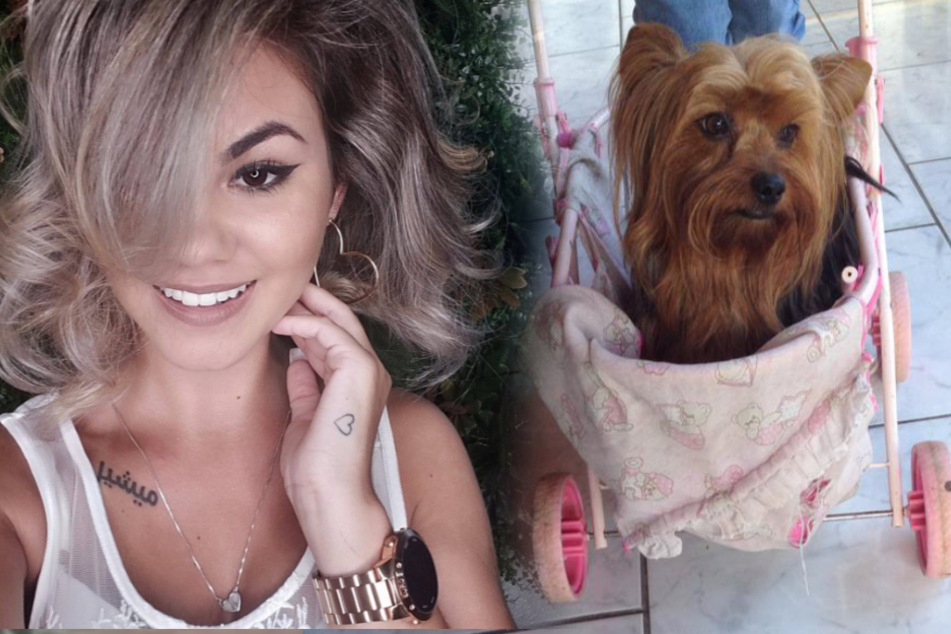 Bad hair day: hairdresser gives dog unintentionally hilarious haircut
