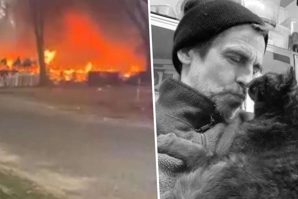 Cat shelter owner dies in heroic attempt to save 300 rescues from devastating fire