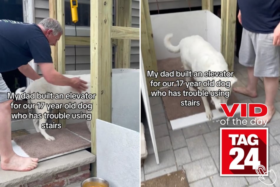 Today's Viral Video of the Day shows an incredible dog dad who isn't afraid to get crafty so his senior dog can live a more comfortable life!