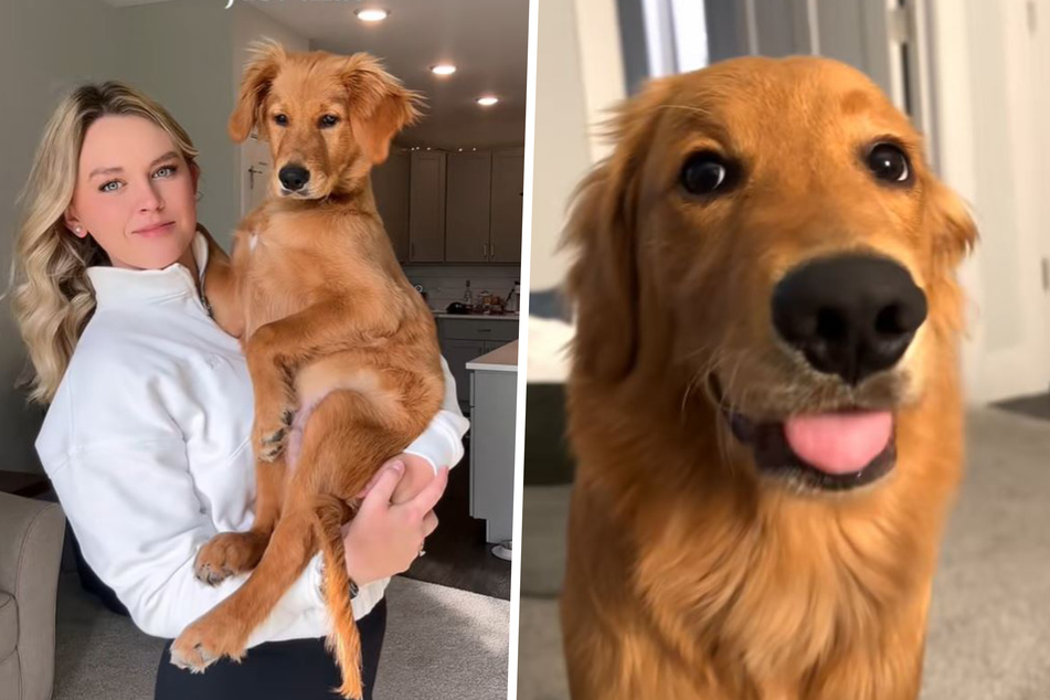 This Golden Retriever dog has been going viral lately for his silly bathtime antics, as documented by his owner Belle.