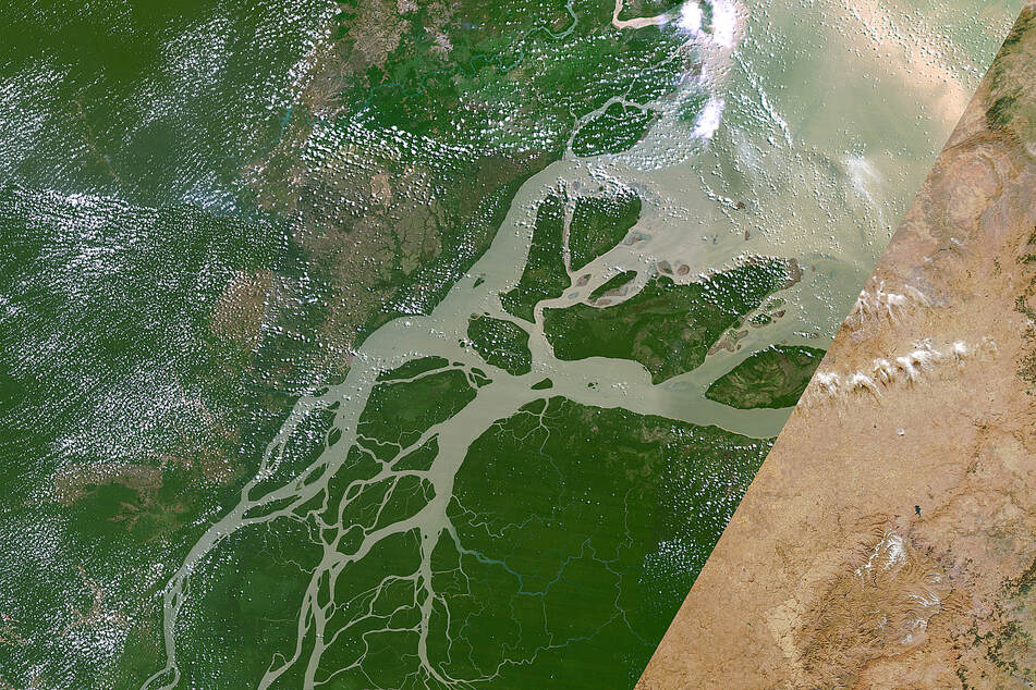 Amazon rainforest at risk of turning into a savanna in our lifetime