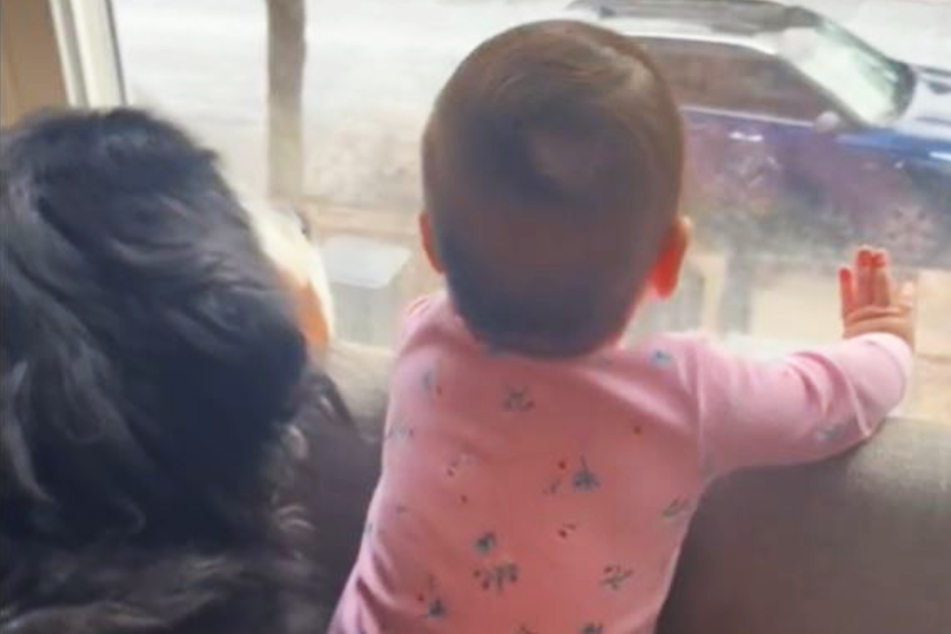 Dog Ivy and the baby are clearly besties for life!