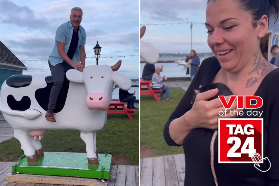 Viral Video of the Day for July 5, 2023: Pet rat steals the show in TikTok with a twist