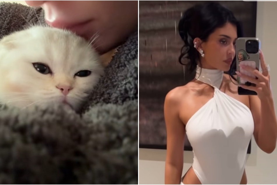 Kylie Jenner introduces adorable furry friend after losing her dog Norman
