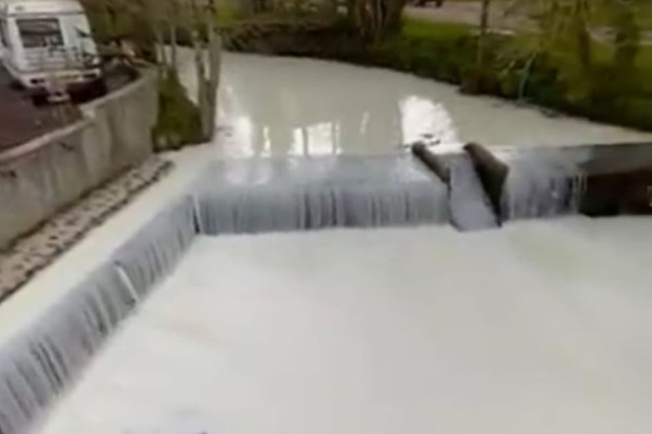 A Twitter user posted a short video of the curious spectacle.
