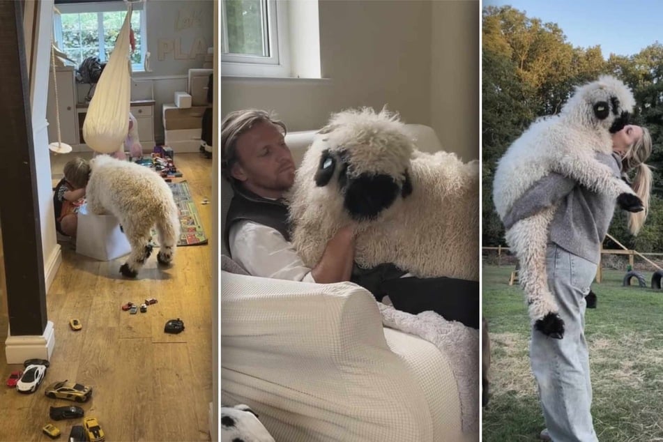 Flabbergasted Instagram users can't believe this isn't a dog: "If not good boy, why good boy shaped?"