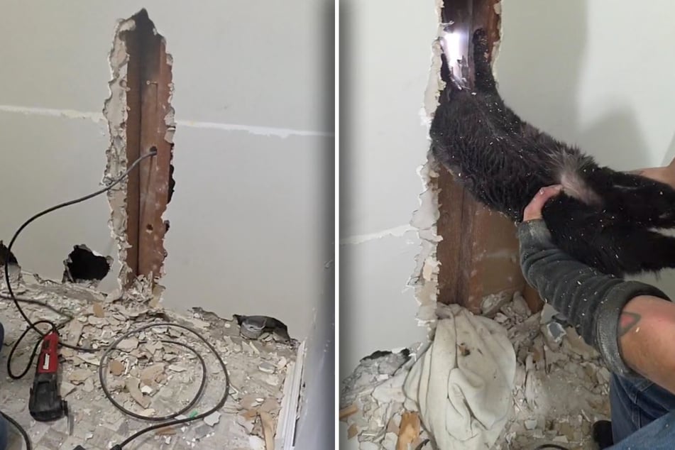 The wall had to be opened carefully. After what felt like an eternity, Lola could be pulled out.