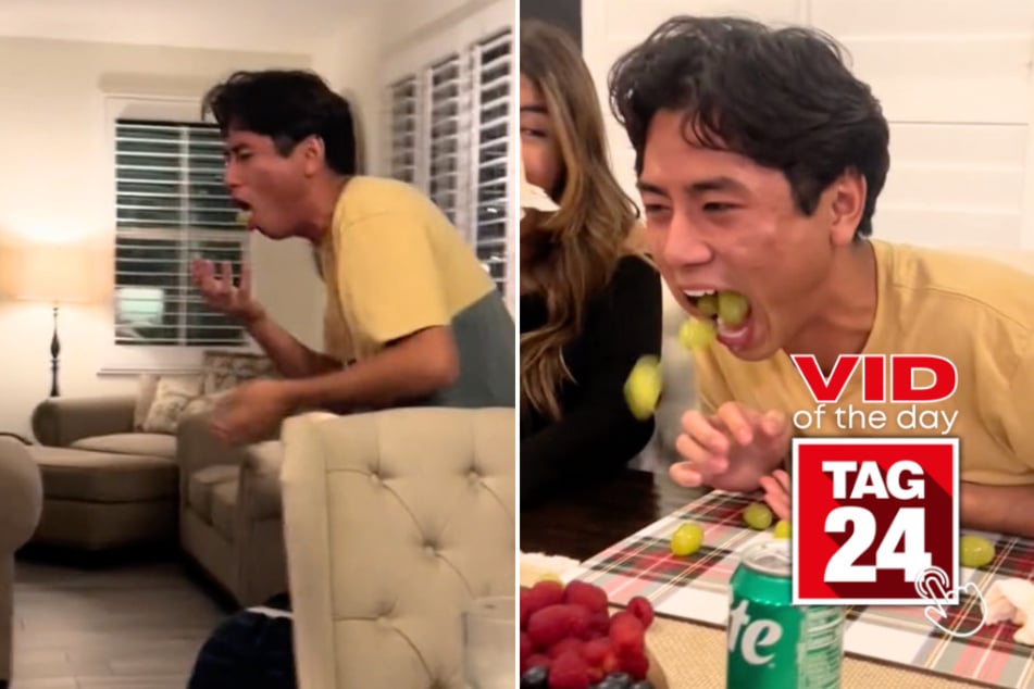 Viral Video of the Day for November 27, 2024: Chubby bunny challenge with grapes goes hilariously wrong!