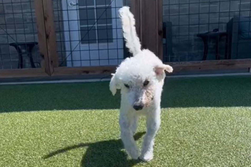 Bravely, Cooper still walks through life at age 22.