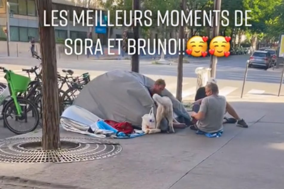 Sora the husky was all about helping a man experiencing homelessness, and turned his owner's heart.