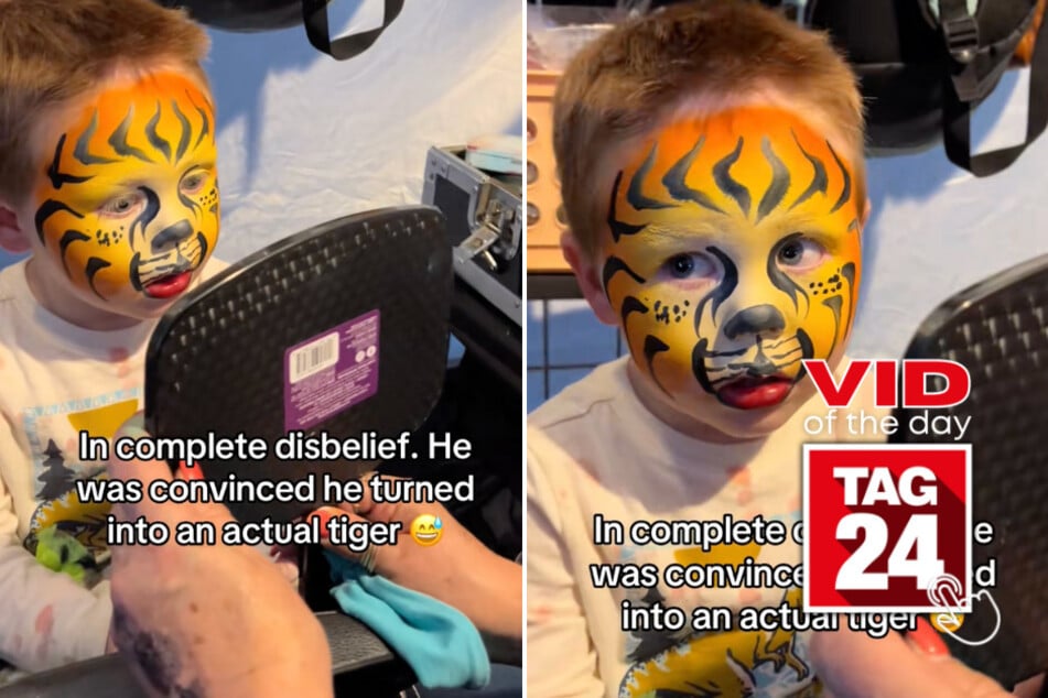 Viral Video of the Day for November 25, 2025: Little boy fully believes he turned into real tiger in hilarious TikTok!
