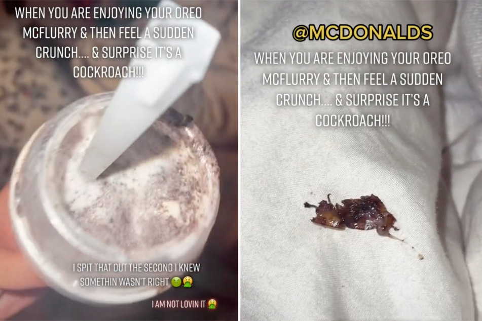 An Oreo McFlurry is supposed to have crunchy chocolate cookies in it, not crunchy cockroaches!