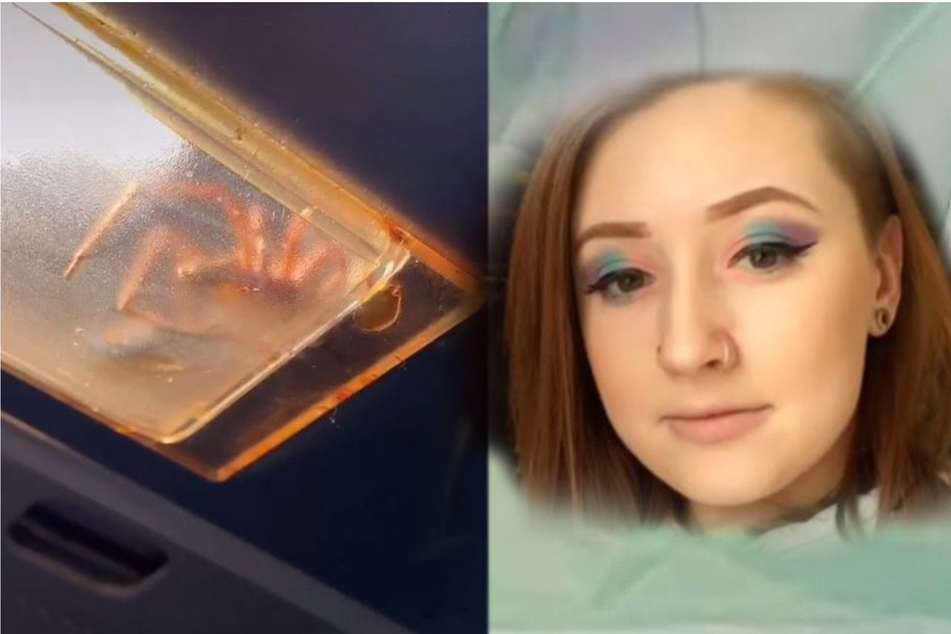 TikToker makes millions freak out with her creepy kitchen find